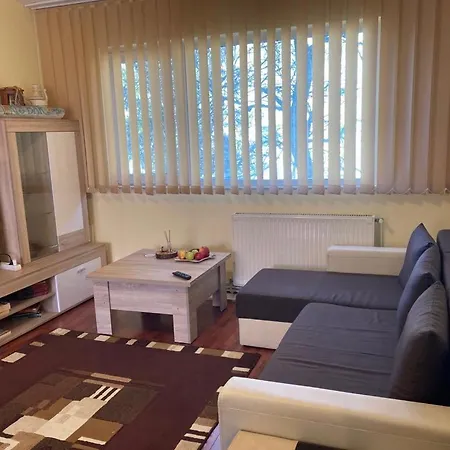Andreea Appartement *